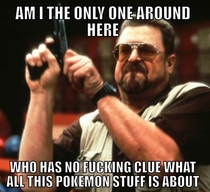 With all the Pokemon stuff going on I am totally lost