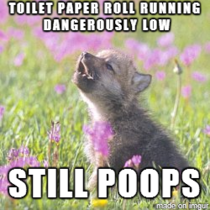 With no toilet paper in sight at that