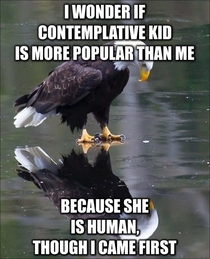 With the rise of contemplative kid lets not forget contemplative eagle