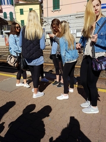 Without a Starbucks in sight this herd of Basics has turned to a life on the rails in search of a new home