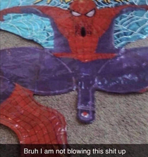 Woah there spidey