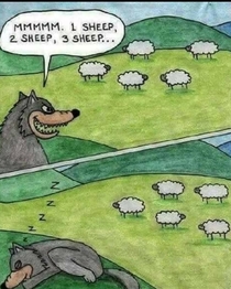 Wolf counting sheep