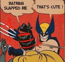 Wolverine is tired of your shit Robin