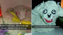 Woman buys an ugly lamb cake and manages to make it even uglier