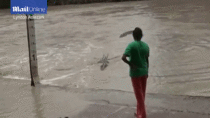 Woman scares off crocodile with a flip flop