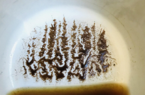 Wonder what Bob Ross would say to my coffee art