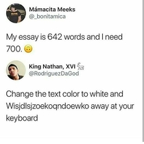 Word limit essays 