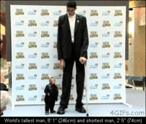 Worlds tallest and shortest man