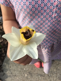 Worm Flower My  year old chip off the old block collects worms stores them in lilies and gives them to people as a joke Preschool comedy is the highest form of comedy imho