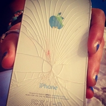 Worst way to shatter your iPhone when you see it