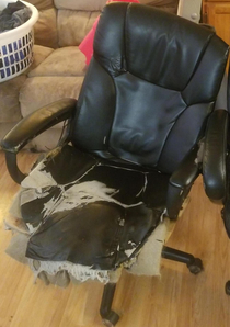 WTS slightly used GAMER CHAIR has enough farts stored to make it to space