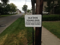 X more effective than a Slow Children at Play sign