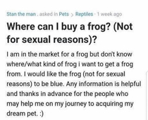 Yahoo answers very sexy frog