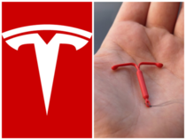 Yall comparing the Tesla logo to a cats nose and Im over here like bro
