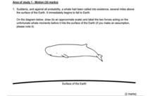 Year  Physics question - a whale had been called into existence