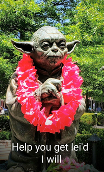 Yoda always lookin to party
