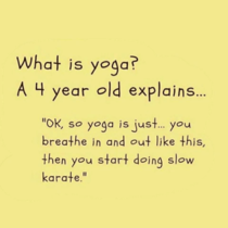 Yoga in a Nutshell