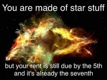 You are made of star stuff