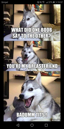 You are my breastfriend