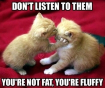you are not fat