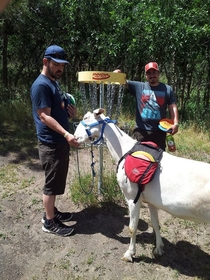 You can rent a goat caddy at this disc golf course I went to