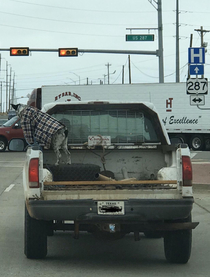 You can tell its getting colder in Texas when everyone is putting on their flannels