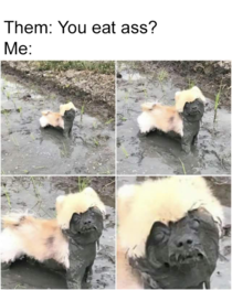 You ever do any of that ass eating