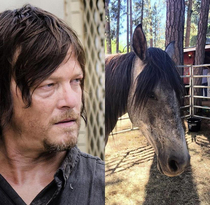 You ever wonder what Norman Reedus would look like as a horse