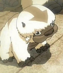 you have seen baby yoda but have you ever seen baby appa