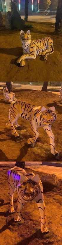 You know what tigers look like right