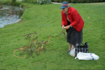 You love to see sweet old ladies feeding the animals at the park