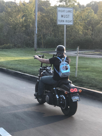 You may be cool but are you motorcycle and frozen backpack cool