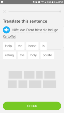 You okay Duolingo