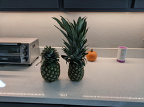 You vs the pineapple she told you not to worry about