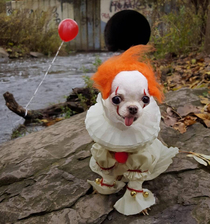 Youll doggy-paddle down here Well doggy-paddle down here