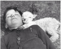 Young lamb prepares to devour its recent kill 