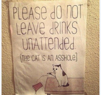 Your cat too