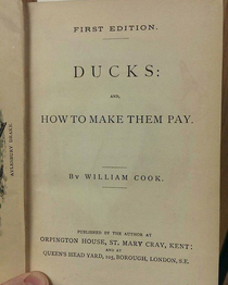 Your gonna pay MrDuck