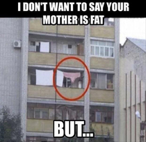 Your momma is so fat
