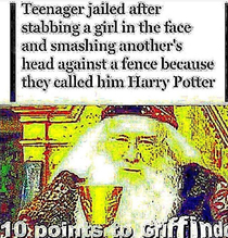 Youre a wizard harry