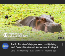 YouTube recommend can be funny sometimes