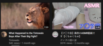 youtube recommending me lion girl asmr