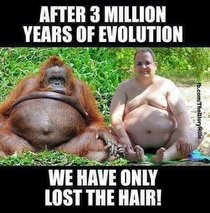 Yup Evolution