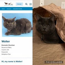 yup hes a Walter