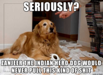 Zanjeer the Indian hero dog set the bar impossibly high for every other dog in the world