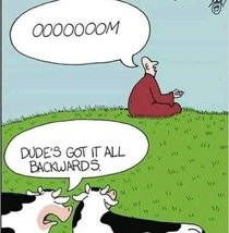 Zen Cows