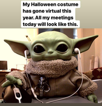 Zoom Halloween costume